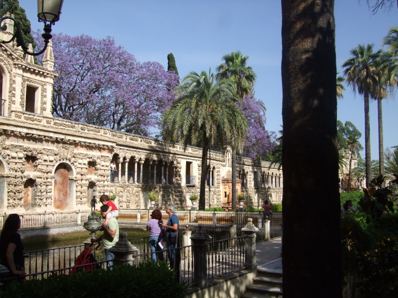 Anadalusien 2009 - 0754 